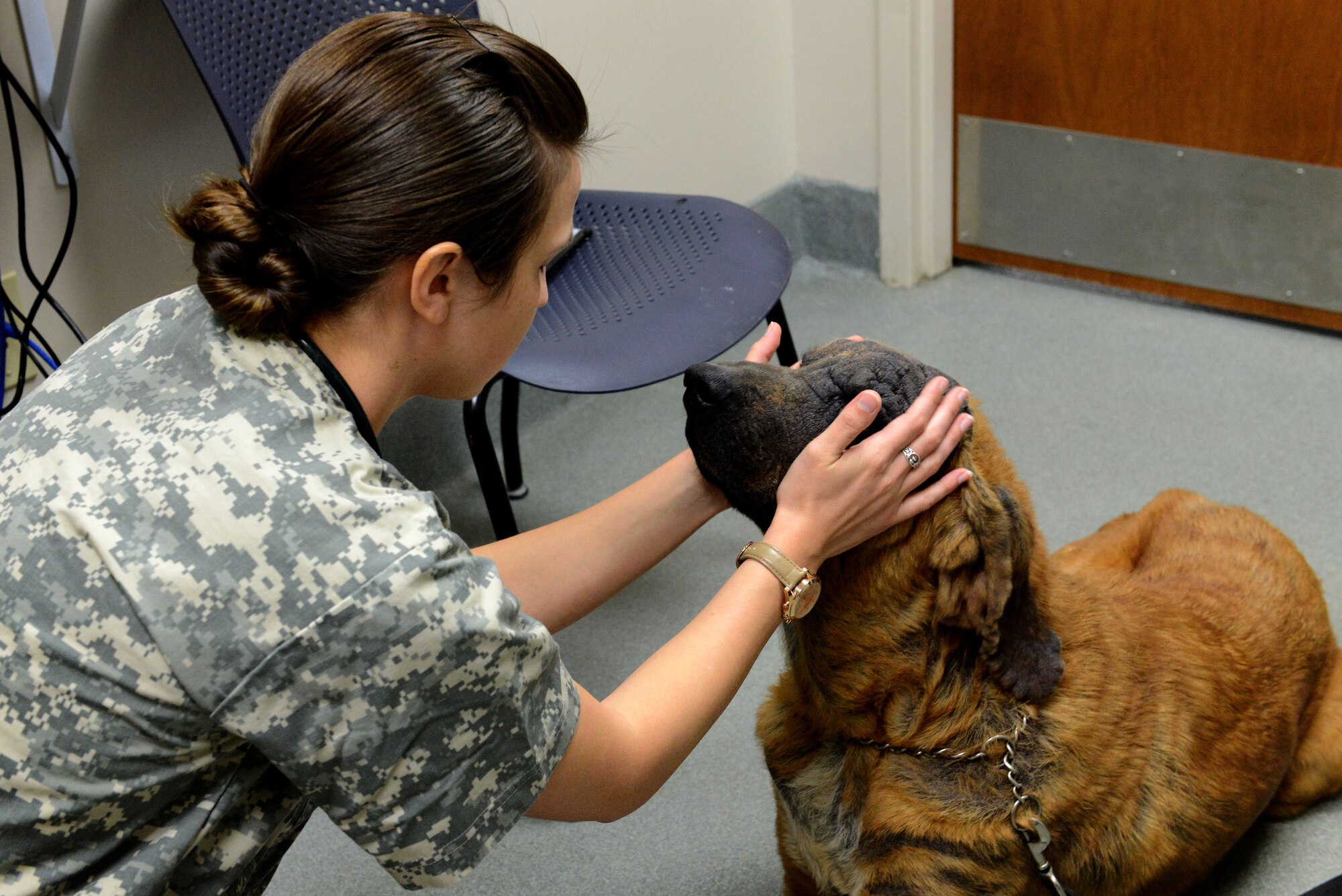 U.S. Army Capt. (Dr.) Katherine Weber, Shaw Veterinary Treatment Facility officer in charge assigned to the Public Health Command at Fort Gordon, Ga., pets Redd at Shaw Air Force Base, S.C., Jan. 27, 2016. The Shaw VTF provides care to approximately 50 animals a week. (U.S. Air Force photo by Airman 1st Class Destinee Dougherty)