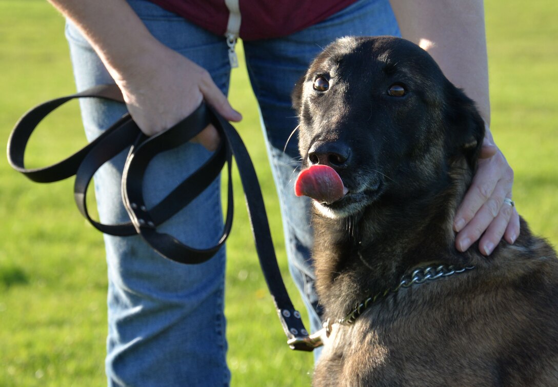 Deborah Black, 100th Security Forces Squadron kennel attendant, bonds with U.S. Air Force 100th SFS Military Working Dog Vvonya during her down time Dec. 4, 2015, on RAF Mildenhall, England. Black’s role is to take care of the kennels, check on the dogs and make sure they are in good health, both physically and mentally. (U.S. Air Force photo by Gina Randall/Released)