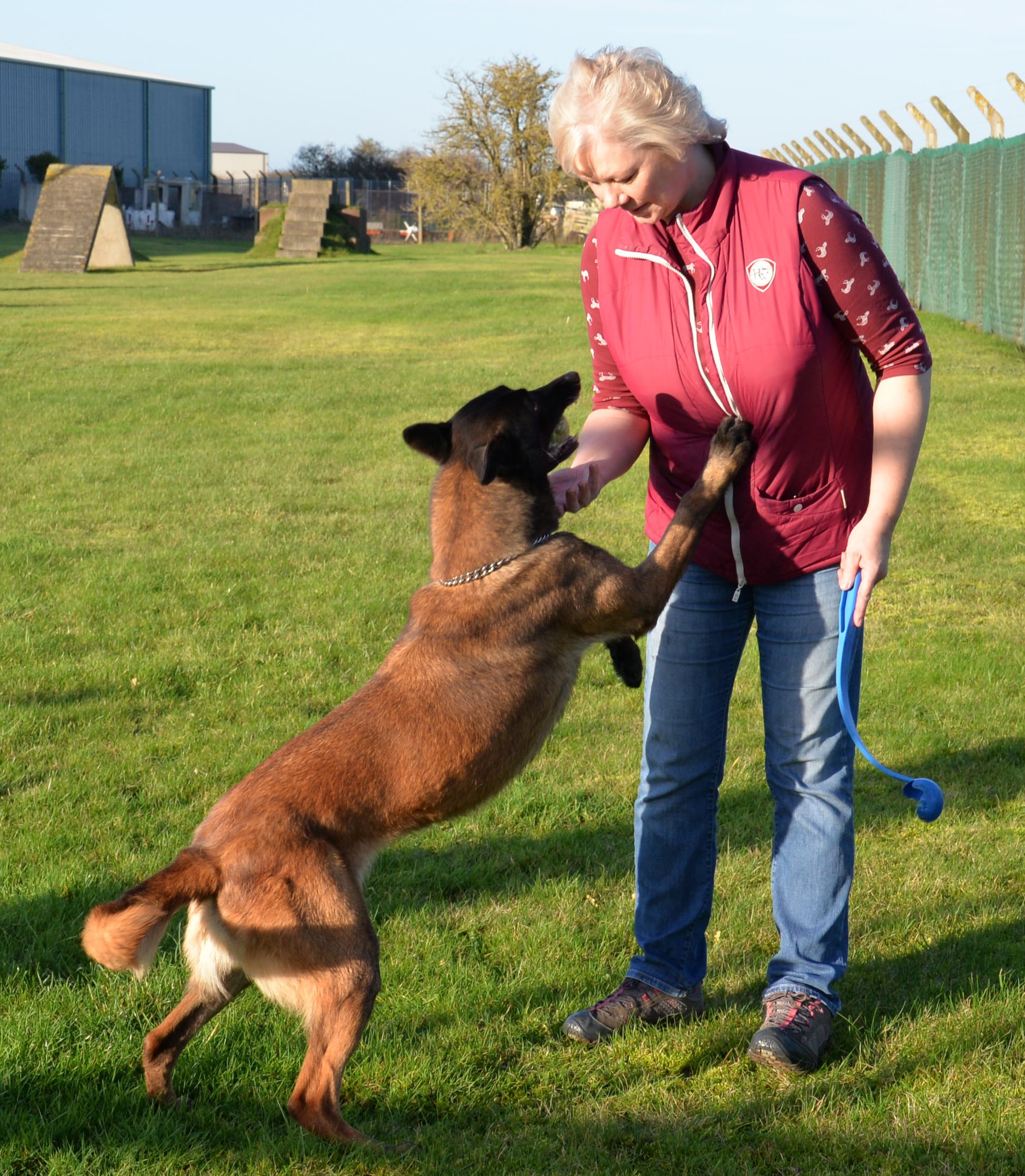 Deborah Black, 100th Security Forces Squadron kennel attendant, takes a U.S. Air Force 100th SFS Military Working Dog out for exercise and down time Dec. 4, 2015, on RAF Mildenhall, England. The dogs are fed early in the morning by the day-shift handlers and are given time to digest their food before Black walks them for about a mile-and-a-half or takes them in the enclosure to let them chase a ball. This gives the dogs a chance to relax and unwind, as well as keep fit. (U.S. Air Force photo by Gina Randall/Released)