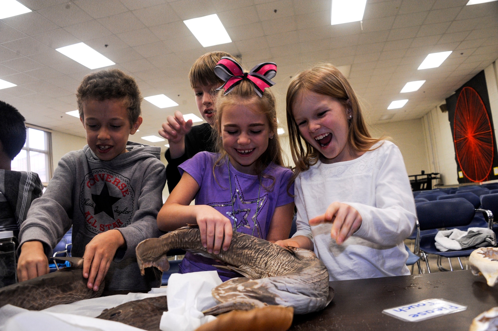 Gwyneth Dotzlaf, left, and Janna Westlake, right, Maxwell Elementary/Middle School second graders, pick up a preserved Bonnethead shark during the Dauphin Island Sea Lab’s BayMobile event Jan. 26, 2015, at Maxwell Elementary/Middle School, Maxwell Air Force Base, Alabama.  The Bonnethead shark is characterized by their broad, smooth head and reaches about 2 -3 feet in length. Bonnethead shark is native to the warmer waters of the Western Hemisphere from New England to the Gulf of Mexico and Southern California to Ecuador. (U.S. Air Force photo by Airman 1st Class Alexa Culbert)