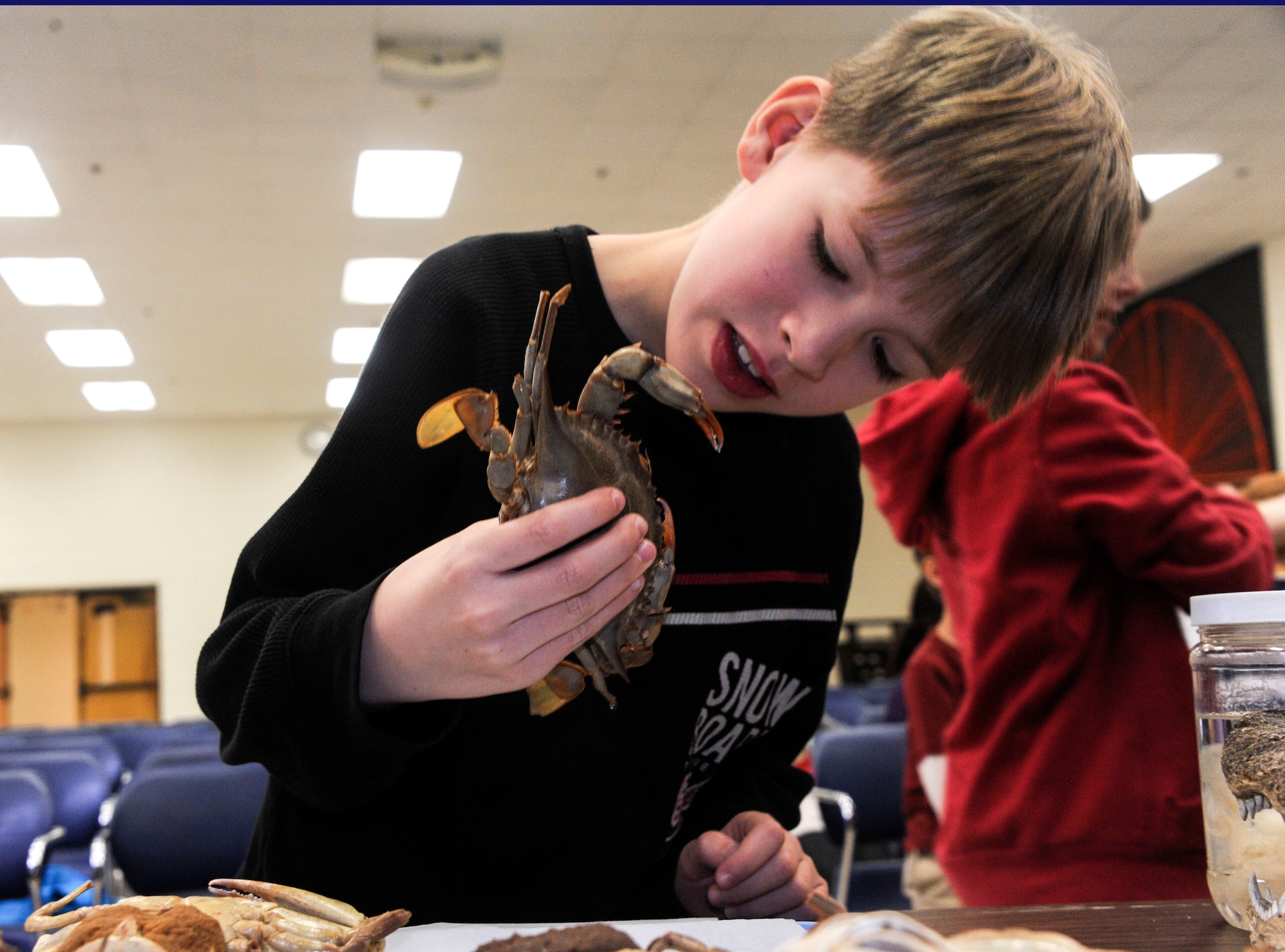 Aidan Christensen, Maxwell Elementary/Middle School second grader, examines a preserved blue crab during the Dauphin Island Sea Lab’s BayMobile event Jan. 26, 2015, at the Maxwell Elementary/Middle School, Maxwell Air Force Base, Alabama. The blue crab is native to the waters of western Atlantic Ocean and the Gulf of Mexico. (U.S. Air Force photo by Airman 1st Class Alexa Culbert)