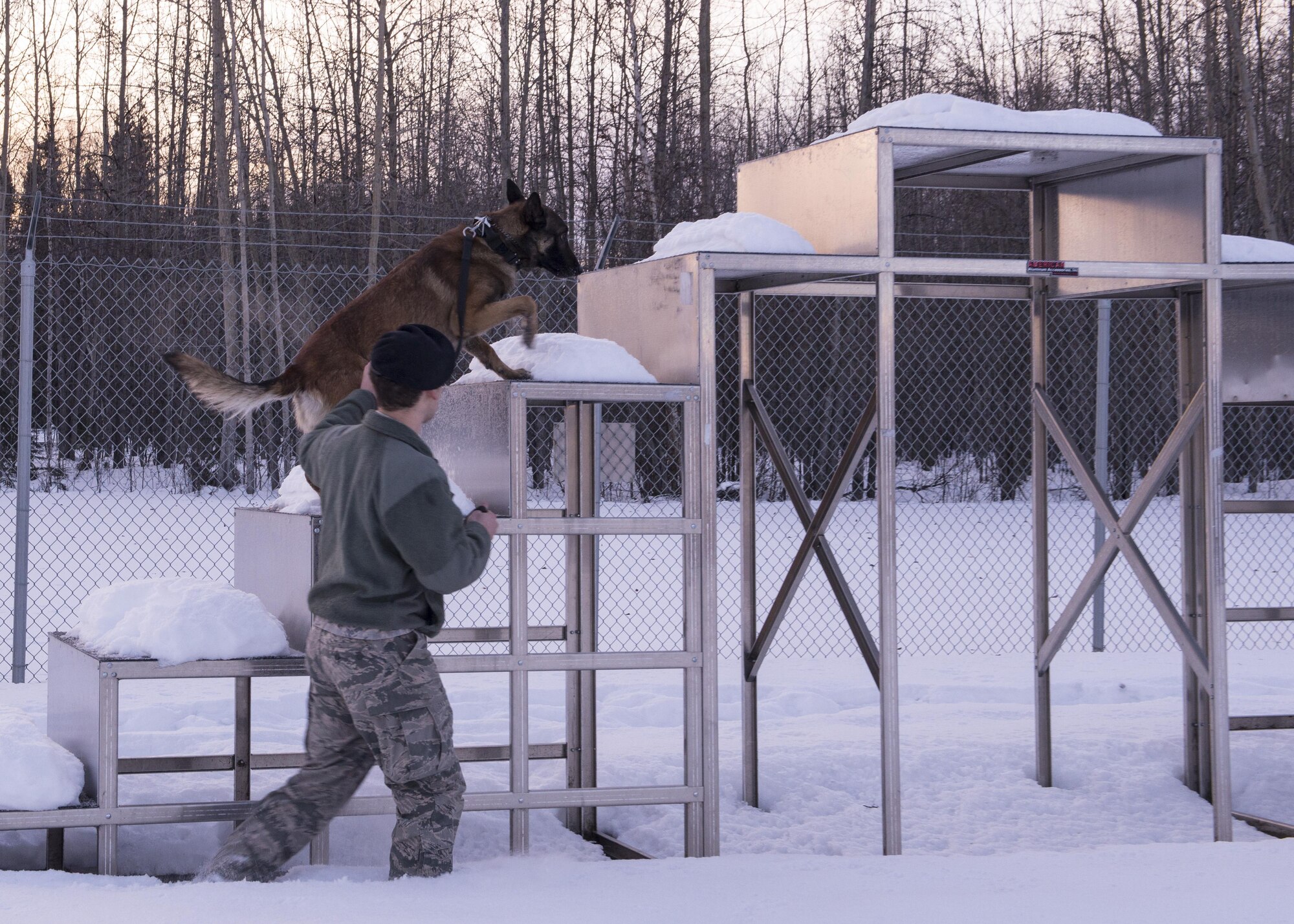 U.S. Air Force Senior Airman Shaun Jordan Jr., 354th Security Forces Squadron military working dog handler, walks his dog, Zzaryn, his military working dog, through the training course Jan. 28, 2016, at Eielson Air Force Base, Alaska. Jordan said certifying on Zzaryn in detection and patrol was his best accomplishment as a member of the Iceman Team. (U.S. Air Force photo by Airman 1st Class Cassandra Whitman/Released)