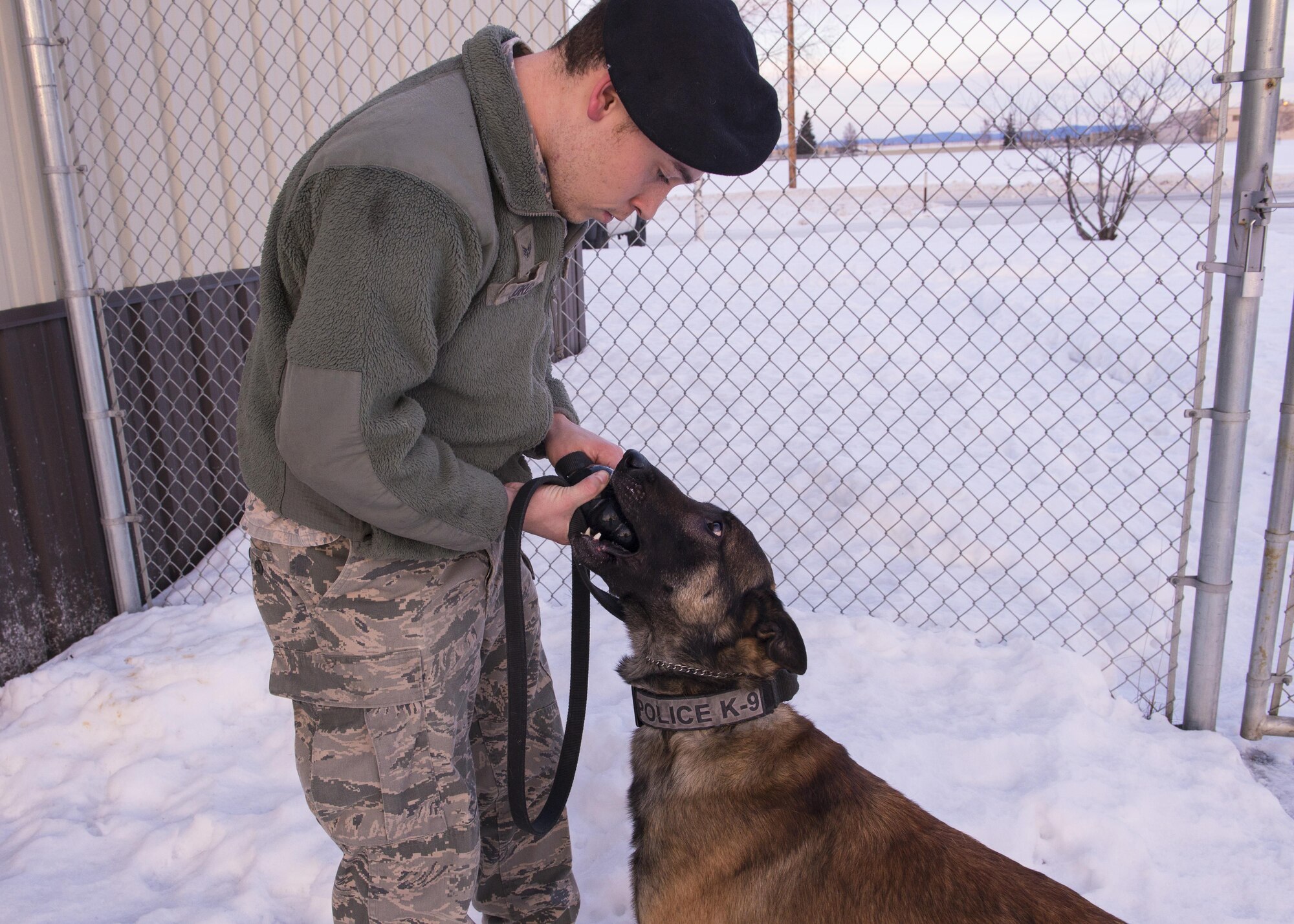 U.S. Air Force Senior Airman Shaun Jordan Jr., 354th Security Forces Squadron military working dog handler, completed the training course with his dog, Zzaryn, Jan. 28, 2016, at Eielson Air Force Base, Alaska. Jordan works with him as much as he can to keep himself and Zzaryn focused and alert. (U.S. Air Force photo by Airman 1st Class Cassandra Whitman/Released)