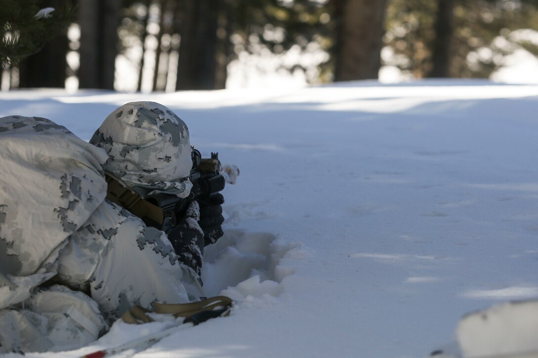 A Marine with Alpha Company, 2nd Assault Amphibian Battalion, keeps on the lookout for notional enemy while the unit conducts a platoon-level ambush scenario during Mountain Exercise 1-16 at the Mountain Warfare Training Center in Bridgeport, Calif., Jan. 13, 2016. Marines across II Marine Expeditionary Force and 2nd Marine Expeditionary Brigade were taking part in the training in preparation for Exercise Cold Response 16 in Norway this March. (U.S. Marine Corps photo by Cpl. Dalton A. Precht/released)