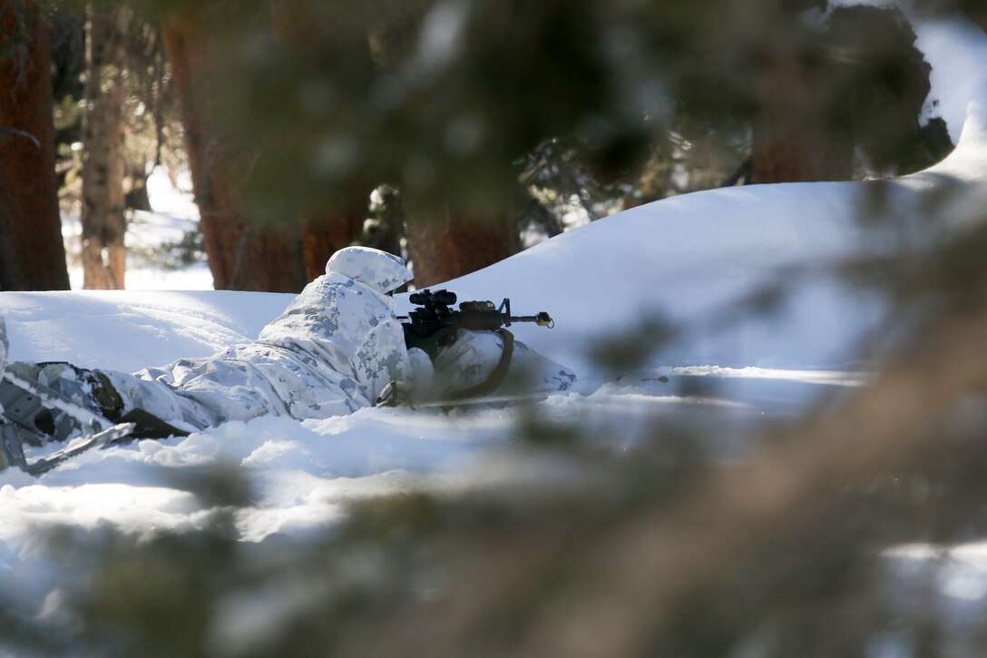 A Marine with Alpha Company, 2nd Assault Amphibian Battalion, keeps on the lookout for notional enemy while the unit conducts platoon-level ambush scenarios during Mountain Exercise 1-16 at the Mountain Warfare Training Center in Bridgeport, Calif., Jan 12, 2016. Marines across II Marine Expeditionary Force and 2nd Marine Expeditionary Brigade were taking part in the training in preparation for Exercise Cold Response 16 in Norway this March. (U.S. Marine Corps photo by Cpl. Dalton A. Precht/released)