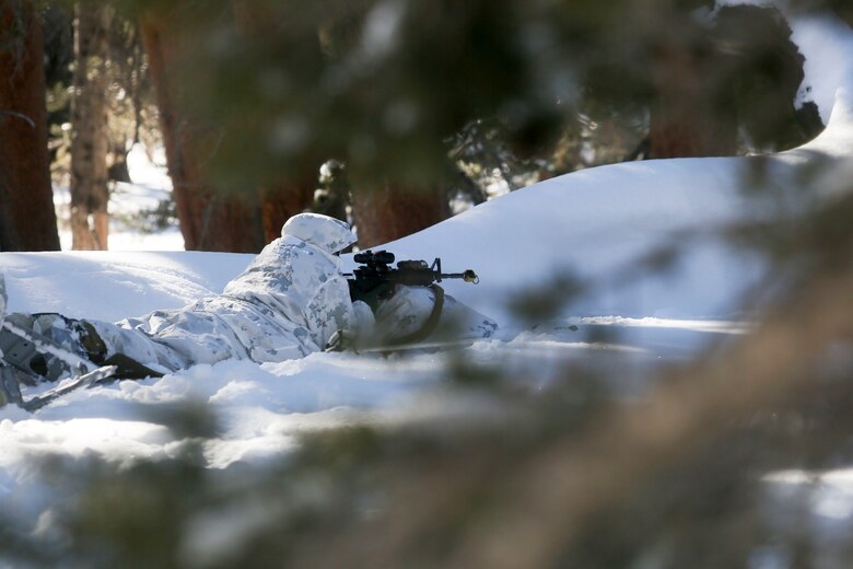 A Marine with Alpha Company, 2nd Assault Amphibian Battalion, keeps on the lookout for notional enemy while the unit conducts platoon-level ambush scenarios during Mountain Exercise 1-16 at the Mountain Warfare Training Center in Bridgeport, Calif., Jan 12, 2016. Marines across II Marine Expeditionary Force and 2nd Marine Expeditionary Brigade were taking part in the training in preparation for Exercise Cold Response 16 in Norway this March. (U.S. Marine Corps photo by Cpl. Dalton A. Precht/released)