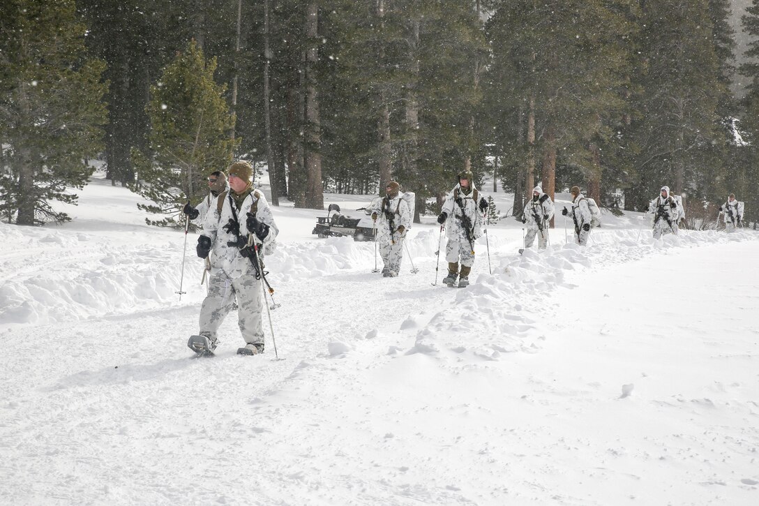 Marines with Alpha Company, 2nd Assault Amphibian Battalion, conduct a patrol during Mountain Exercise 1-16 at the Mountain Warfare Training Center in Bridgeport, Calif., Jan. 13, 2016. The Marines conducted multiple movements ranging from a hundred meters to several kilometers in preparation for Exercise Cold Response in Norway, currently scheduled to begin in March. Marines across II Marine Expeditionary Force and 2nd Marine Expeditionary Brigade were taking part in the training in preparation for the multinational exercise. (U.S. Marine Corps photo by Cpl. Dalton A. Precht/released)
