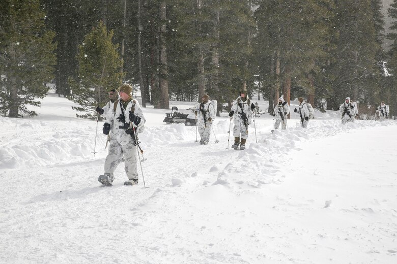 Marines with Alpha Company, 2nd Assault Amphibian Battalion, conduct a patrol during Mountain Exercise 1-16 at the Mountain Warfare Training Center in Bridgeport, Calif., Jan. 13, 2016. The Marines conducted multiple movements ranging from a hundred meters to several kilometers in preparation for Exercise Cold Response in Norway, currently scheduled to begin in March. Marines across II Marine Expeditionary Force and 2nd Marine Expeditionary Brigade were taking part in the training in preparation for the multinational exercise. (U.S. Marine Corps photo by Cpl. Dalton A. Precht/released)