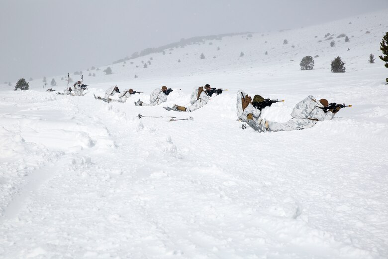 Marines with Alpha Company, 2nd Assault Amphibian Battalion, take cover on a snow bank as they conduct platoon ambushes during Mountain Exercise 1-16 at the Mountain Warfare Training Center in Bridgeport, Calif., Jan. 13, 2016. Marines across II Marine Expeditionary Force and 2nd Marine Expeditionary Brigade were taking part in the training in preparation for Exercise Cold Response 16 in Norway this March. (U.S. Marine Corps photo by Cpl. Dalton A. Precht/released)