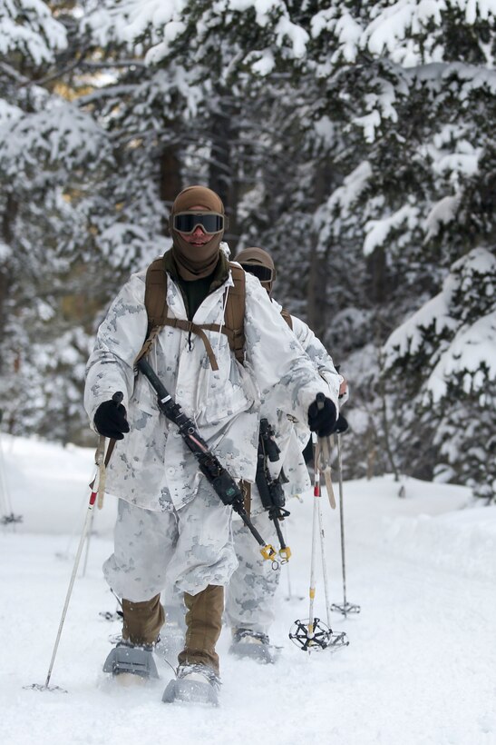 A Marine with Alpha Company, 2nd Assault Amphibian Battalion, conducts a patrol during Mountain Exercise 1-16 at the Mountain Warfare Training Center in Bridgeport, Calif., Jan. 13, 2016. The Marines conducted multiple movements ranging from a hundred meters to several kilometers in preparation for Exercise Cold Response in Norway, currently scheduled to begin in March. Marines across II Marine Expeditionary Force and 2nd Marine Expeditionary Brigade were taking part in the training in preparation for the multinational exercise. (U.S. Marine Corps photo by Cpl. Dalton A. Precht/released)