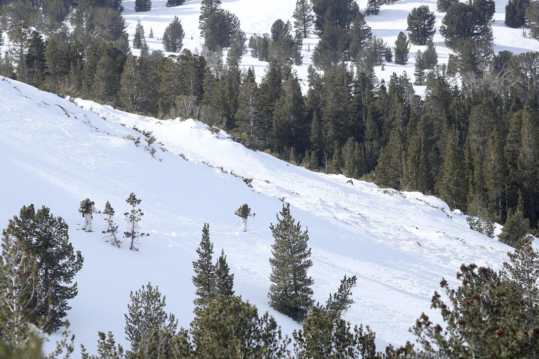 Marines with Alpha Company, 2nd Assault Amphibian Battalion, traverse through knee-deep fresh powder at the Mountain Warfare Training Center during Mountain Exercise 1-16 in Bridgeport, Calif., Jan. 14, 2016. The Marines created their own paths for the remainder of their unit to move from one training area to the next. Marines across II Marine Expeditionary Force and 2nd Marine Expeditionary Brigade were taking part in the training in preparation for Exercise Cold Response 16 in Norway this March. (U.S. Marine Corps photo by Cpl. Dalton A. Precht/released)