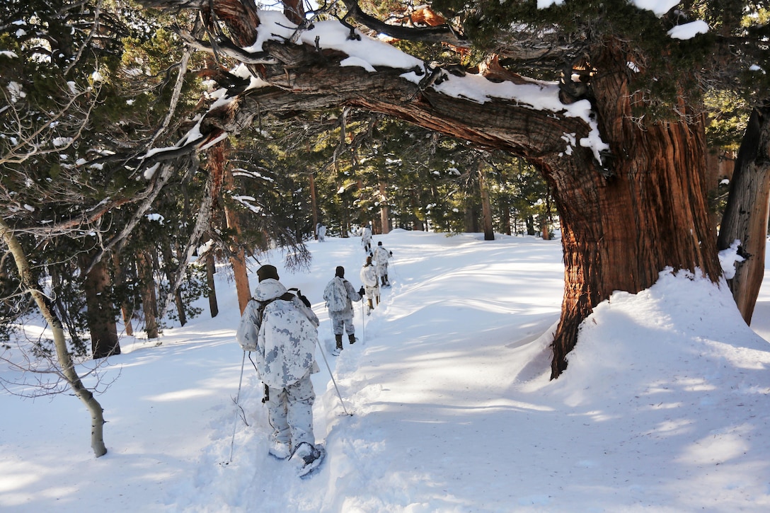 Marines with Alpha Company, 2nd Assault Amphibian Battalion, conduct a patrol as part of an avalanche scenario at the Mountain Warfare Training Center in Bridgeport, Calif., Jan. 20, 2016. Marines across II Marine Expeditionary Force and 2d Marine Expeditionary Brigade took part in the training in preparation for Exercise Cold Response 16 in Norway this March. The exercise will feature military training including maritime, land and air operations that underscore NATO's ability to defend against any threat in any environment. (U.S. Marine Corps photo by Cpl. Dalton A. Precht/released)
