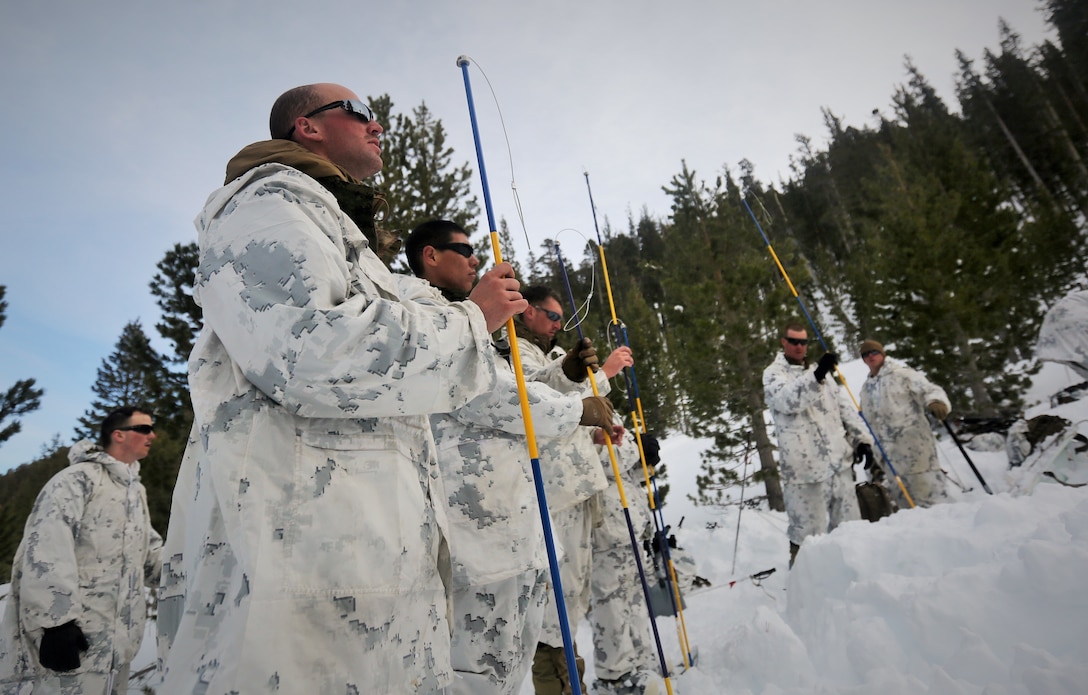 Marines with Alpha Company, 2nd Assault Amphibian Battalion, use avalanche probes in search for a simulated casualty during an avalanche scenario at the Mountain Warfare Training Center in Bridgeport Calif., Jan. 20, 2016. Marines across II Marine Expeditionary Force and 2nd Marine Expeditionary Brigade took part in the scenario as part of Mountain Exercise 1-16 in preparation for Exercise Cold Response 16.1 in Norway this March. The exercise will feature military training including maritime, land and air operations that underscore NATO's ability to defend against any threat in any environment. (U.S. Marine Corps photo by Cpl. Dalton A. Precht/released)