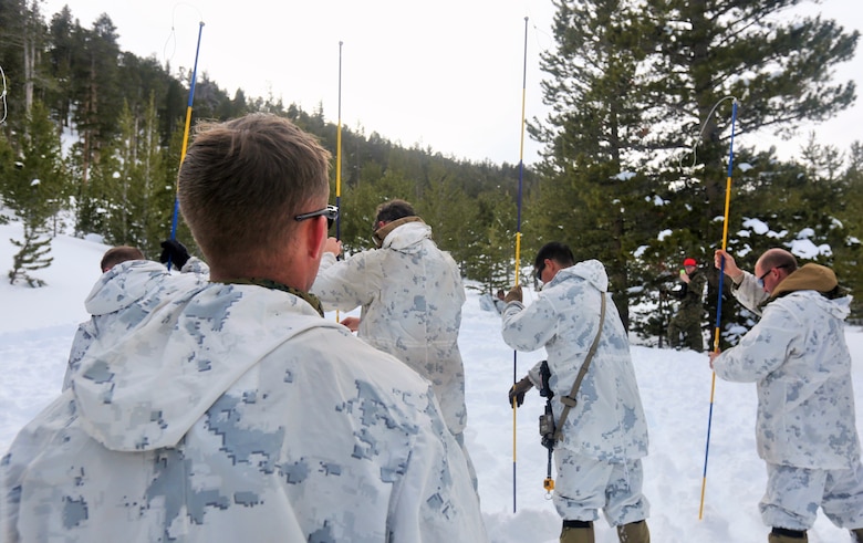 Sgt. Keith Carman, a squad leader with Alpha Company, 2nd Assault Amphibian Battalion, watches the probe line as his Marines search for a simulated casualty during an avalanche scenario at the Mountain Warfare Training Center in Bridgeport Calif., Jan. 20, 2016. Marines across II Marine Expeditionary Force and 2d Marine Expeditionary Brigade took part in the training in preparation for Exercise Cold Response 16 in Norway this March. The exercise will feature military training including maritime, land and air operations that underscore NATO's ability to defend against any threat in any environment. (U.S. Marine Corps photo by Cpl. Dalton A. Precht/released)