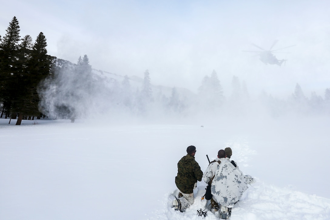 Marines with 2nd Platoon, Alpha Company, 2nd Assault Amphibian Battalion, radio in a CH-53E Super Stallion as part of their avalanche scenario at the Mountain Warfare Training Center in Bridgeport, Calif., Jan. 20, 2016.  Marines across II Marine Expeditionary Force and 2nd Marine Expeditionary Brigade took part in the scenario as part of Mountain Exercise 1-16 in preparation for Exercise Cold Response 16.1 in Norway this March. The exercise will feature military training including maritime, land and air operations that underscore NATO's ability to defend against any threat in any environment. (U.S. Marine Corps photo by Cpl. Dalton A. Precht/released)