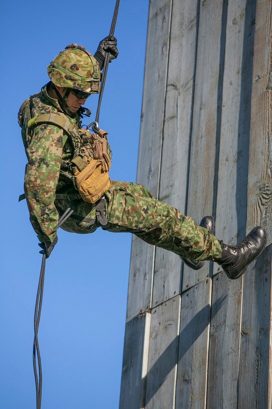 A Japan Ground Self-Defense Force (JGSDF) soldier rappels down a tower during helicopter rope suspension training, during Exercise Iron Fist 2016 aboard Camp Pendleton, Calif., Feb. 1, 2016. Rappelling is a controlled descent from a great height using a harness and ropes as a pulley system. (U.S. Marine Corps photo by Cpl. Xzavior T. McNeal/Released)