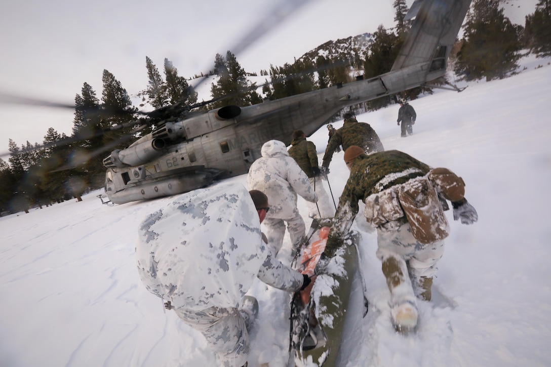 Marines with Alpha Company, 2nd Assault Amphibian Battalion, rush toward a CH-53E Super Stallion with a simulated avalanche victim at the Mountain Warfare Training Center in Bridgeport, Calif., Jan. 20, 2016. Marines across II Marine Expeditionary Force and 2d Marine Expeditionary Brigade took part in the training in preparation for Exercise Cold Response 16 in Norway this March. The exercise will feature military training including maritime, land and air operations that underscore NATO's ability to defend against any threat in any environment.