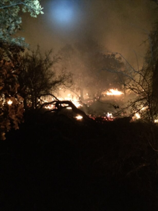 A 750-acre wildfire near the community of Eula, Texas, threatened to destroy property and livestock until it was 100 percent contained at approximately midnight Jan. 31, 2016. Dyess Airmen were asked to join the fire fight at approximately 4 p.m. Jan. 30, 2016, after a team of 15 state, county and city officials had been battling the blaze for nearly five hours. (U.S. Air Force photo by Floyd Jones/Released)