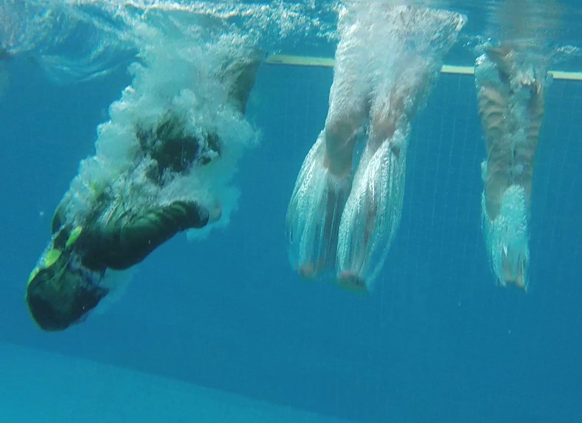 Participants of the 2016 polar plunge dive into the water at the base pool Jan. 20, 2016, at Incirlik Air Base, Turkey. Many of the members quickly climbed out because of the freezing temperature, while a couple members continued to swim. (U.S. Air Force photo by Airman 1st Class Daniel Lile/Released)