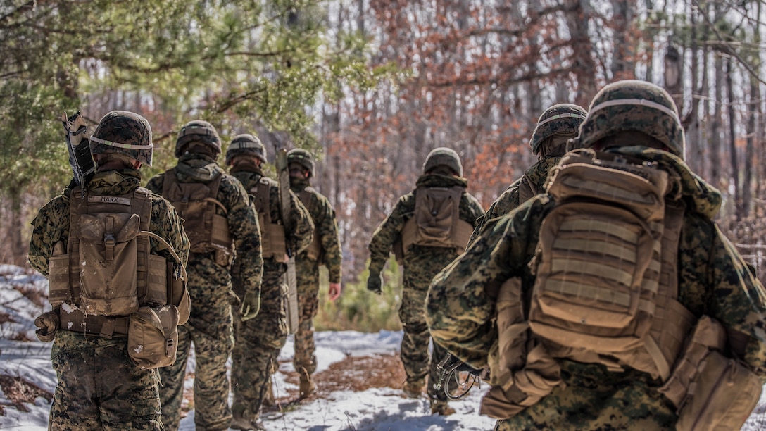 Combat engineers and assaultmen with 3rd Battalion, 2nd Marine Regiment, march toward a Bangalore torpedo impact zone during a Deployment for Training exercise at Fort A.P. Hill, Va., Jan 28, 2016. The range was intended to ensure Marines maintain weapon systems proficiency while preparing them for their upcoming deployment to Okinawa, Japan. 