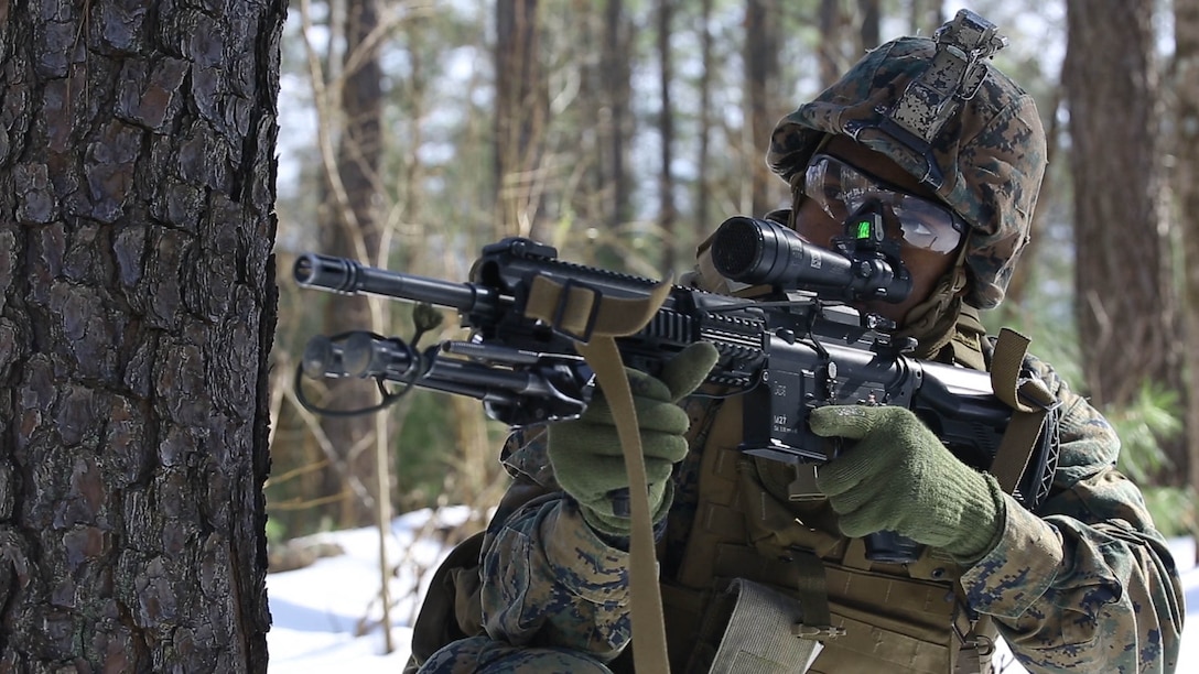 Private First Class Deondrez Lighty, a rifleman with 3rd Battalion, 2nd Marine Regiment, provides security during a Deployment for Training exercise at Fort A.P. Hill Va., Jan. 29, 2016. Marines patrolled through the snow and woods to maintain squad proficiency in adverse weather conditions before deploying to Okinawa, Japan. 