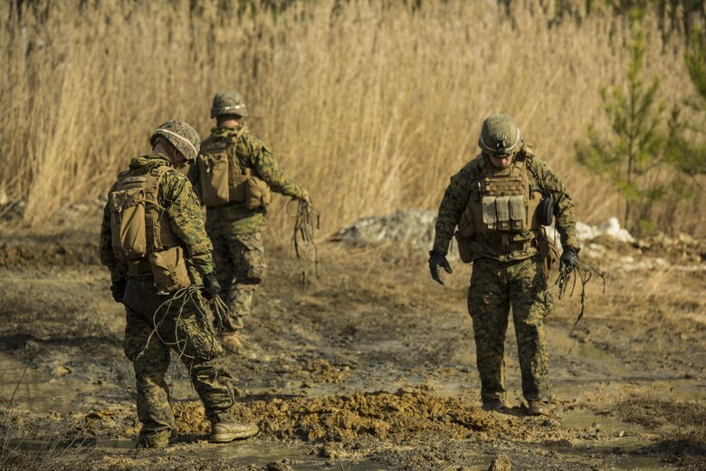 Combat engineers with 2nd Combat Engineer Battalion, attached to 3rd Battalion, 2nd Marine Regiment, examine the impact of improvised Bangalore torpedoes during a Deployment for Training exercise at Fort A.P. Hill, Va., Jan. 28, 2016. The exercise enabled Marines to sustain their knowledge on different weapons and witness the effects they can have in a combat environment. The unit completed the DFT in preparation for their upcoming deployment to Okinawa, Japan. (U.S. Marine Corps photo by Lance Cpl. Samuel Guerra/Released)