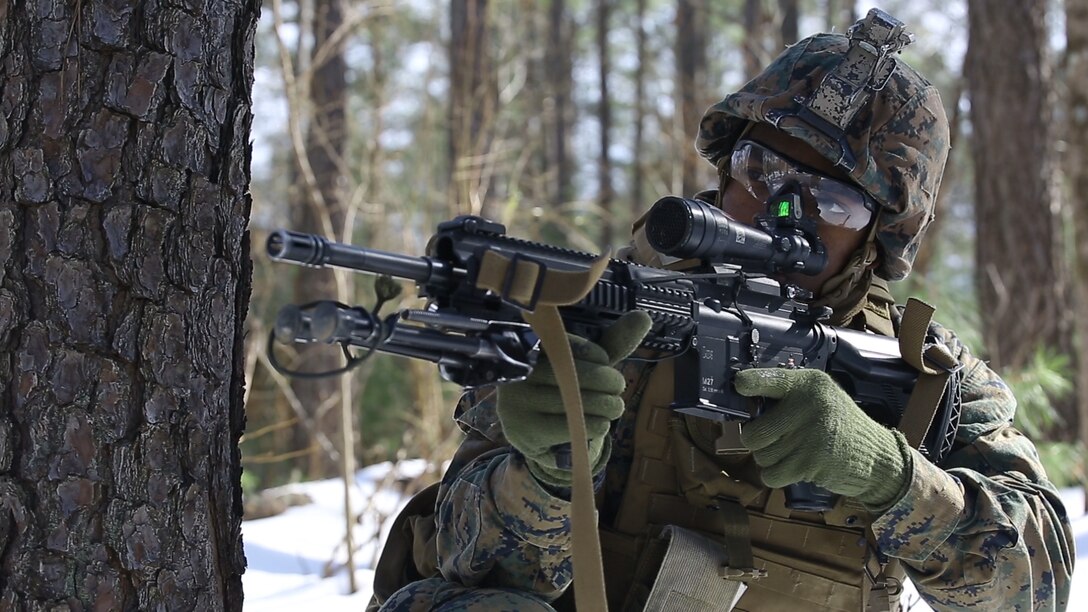Private First Class Deondrez Lighty, a rifleman with 3rd Battalion, 2nd Marine Regiment, provides security during a Deployment for Training exercise at Fort A.P. Hill Va., Jan. 29, 2016. Marines patrolled through the snow and woods to maintain squad proficiency in adverse weather conditions before deploying to Okinawa, Japan. (U.S. Marine Corps photo by Lance Cpl. Samuel Guerra/ Released)