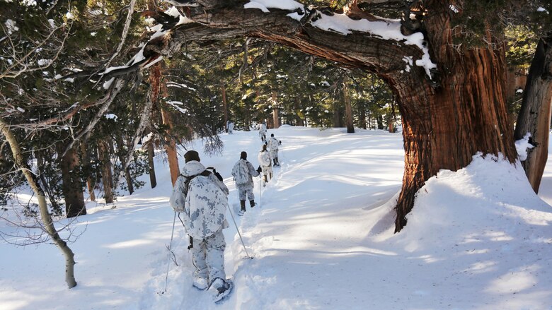 Marines with Company A, 2nd Assault Amphibian Battalion, conduct a patrol as part of an avalanche scenario at the Mountain Warfare Training Center in Bridgeport, California, Jan. 20, 2016. Marines across II Marine Expeditionary Force and 2d Marine Expeditionary Brigade took part in the training in preparation for Exercise Cold Response 16 in Norway this March. The exercise will feature military training including maritime, land and air operations that underscore NATO's ability to defend against any threat in any environment.