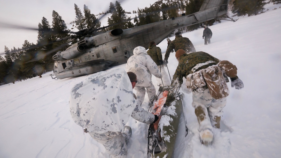 Marines with Company A, 2nd Assault Amphibian Battalion, rush toward a CH-53E Super Stallion with a simulated avalanche victim at the Mountain Warfare Training Center in Bridgeport, California, Jan. 20, 2016. Marines across II Marine Expeditionary Force and 2d Marine Expeditionary Brigade took part in the training in preparation for Exercise Cold Response 16 in Norway this March. The exercise will feature military training including maritime, land and air operations that underscore NATO's ability to defend against any threat in any environment.