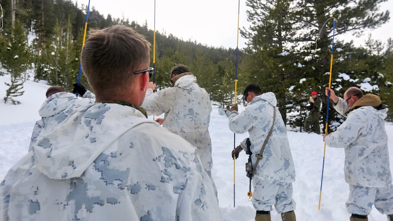 Sgt. Keith Carman, a squad leader with Company A, 2nd Assault Amphibian Battalion, watches the probe line as his Marines search for a simulated casualty during an avalanche scenario at the Mountain Warfare Training Center in Bridgeport California, Jan. 20, 2016. Marines across II Marine Expeditionary Force and 2d Marine Expeditionary Brigade took part in the training in preparation for Exercise Cold Response 16 in Norway this March. The exercise will feature military training including maritime, land and air operations that underscore NATO's ability to defend against any threat in any environment. 