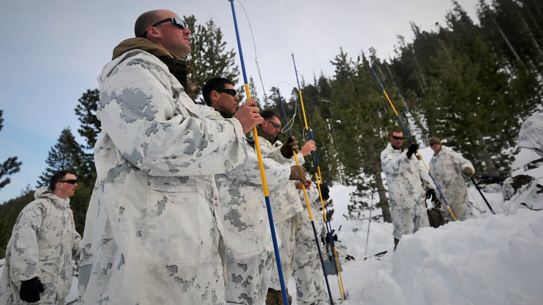 Marines with Company A, 2nd Assault Amphibian Battalion, use avalanche probes in search for a simulated casualty during an avalanche scenario at the Mountain Warfare Training Center in Bridgeport, California, Jan. 20, 2016. Marines across II Marine Expeditionary Force and 2nd Marine Expeditionary Brigade took part in the scenario as part of Mountain Exercise 1-16 in preparation for Exercise Cold Response 16.1 in Norway this March. The exercise will feature military training including maritime, land and air operations that underscore NATO's ability to defend against any threat in any environment. 