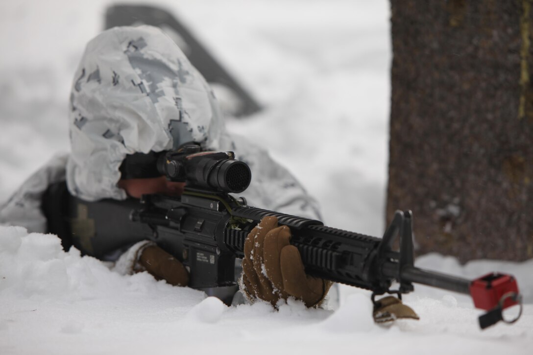 Lance Cpl. Jason M. Jones provides security during a simulated ambush during cold weather training at Marine Corps Mountain Warfare Training Center, Calif., Jan. 21, 2016. The cold weather training done in the Sierra Mountains is a warm-up to Exercise Cold Response 1-16 in Norway. Nearly 80 Marines with 2nd LAAD Bn. participated in the two-weeklong exercise that taught basic mobility in snow, defensive and offensive tactics as well as basic cold weather and high altitude conditions training. Jones is a low altitude air defense gunner with 2nd Low Altitude Air Defense Battalion. 