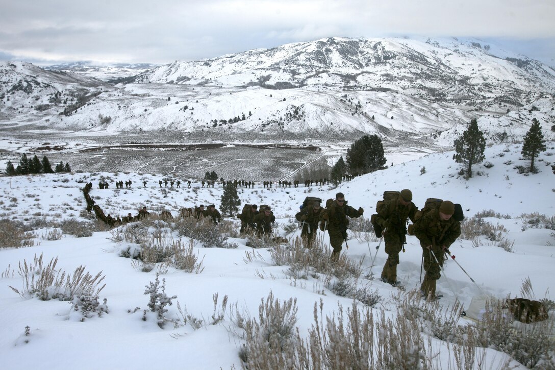 Marines hike up a steep incline on the Sierra Mountains during cold weather training at Marine Corps Mountain Warfare Training Center, Calif., Jan. 21, 2016. The cold weather training done in the Sierra Mountains is a warm-up to Exercise Cold Response 1-16 in Norway. Nearly 80 Marines with 2nd LAAD Bn. participated in the two-weeklong exercise that taught basic mobility in snow, defensive and offensive tactics as well as basic cold weather and high altitude conditions training.