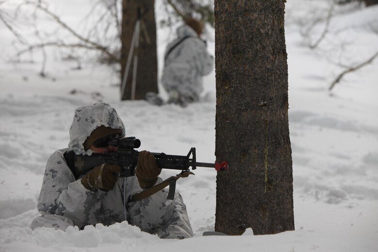 Lance Cpl. Jason M. Jones provides security during a simulated ambush during cold weather training at Marine Corps Mountain Warfare Training Center, Calif., Jan. 21, 2016. The cold weather training done in the Sierra Mountains is a warm-up to Exercise Cold Response 1-16 in Norway. Nearly 80 Marines with 2nd LAAD Bn. participated in the two-weeklong exercise that taught basic mobility in snow, defensive and offensive tactics as well as basic cold weather and high altitude conditions training. Jones is a low altitude air defense gunner with 2nd Low Altitude Air Defense Battalion. 