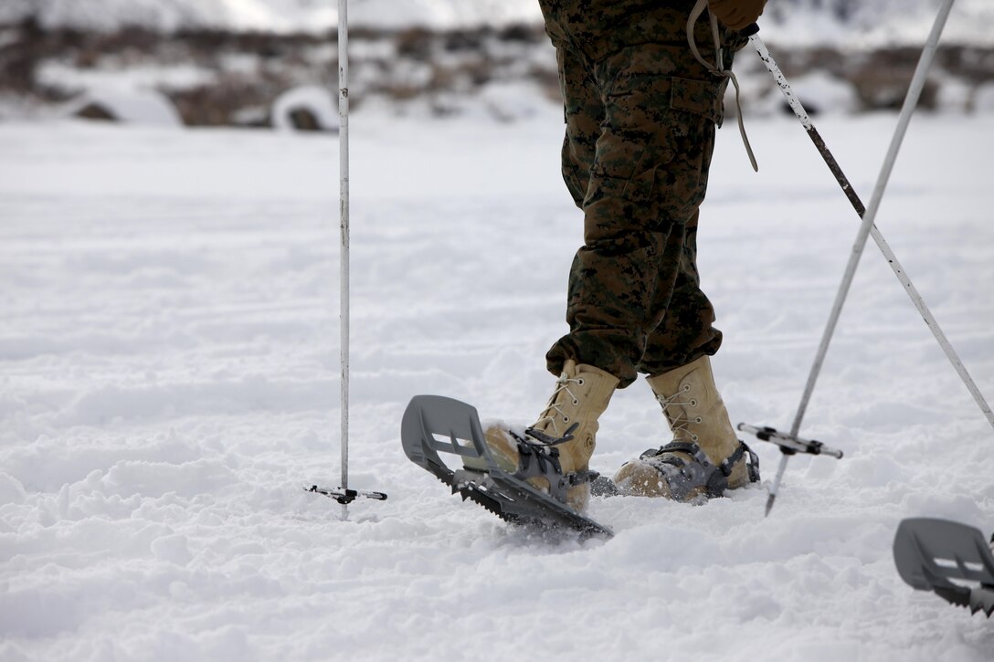 A Marine uses snowshoes for the first time during cold weather training at Marine Corps Mountain Warfare Training Center, Calif., Jan. 21, 2016. Snowshoes are implemented in the training for Marines to gain better traction in deep, loosely packed snow. The cold weather training done in the Sierra Mountains is a warm-up to Exercise Cold Response 1-16 in Norway. Nearly 80 Marines with 2nd LAAD Bn. participated in the two-weeklong exercise that taught basic mobility in snow, defensive and offensive tactics as well as basic cold weather and high altitude conditions training.
