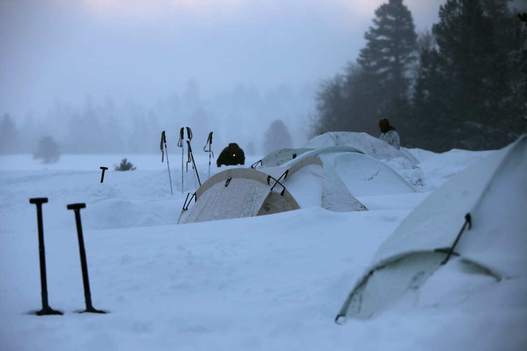 Marines inspect the areas around their tents during cold weather training at Marine Corps Mountain Warfare Training Center, Calif., Jan. 21, 2016. The cold weather training done in the Sierra Mountains is a warm-up to Exercise Cold Response 1-16 in Norway. Nearly 80 Marines with 2nd LAAD Bn. participated in the two-weeklong exercise that taught basic mobility in snow, defensive and offensive tactics as well as basic cold weather and high altitude conditions training.