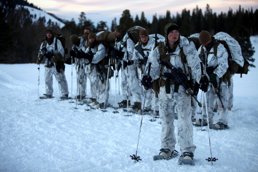 Marines utilize an administrative break to check their gear before continuing a hike up a the Sierra Mountain during cold weather training at Marine Corps Mountain Warfare Training Center, Calif., Jan. 21, 2016. The cold weather training done in the Sierra Mountains is a warm-up to Exercise Cold Response 1-16 in Norway. Nearly 80 Marines with 2nd LAAD Bn. participated in the two-weeklong exercise that taught basic mobility in snow, defensive and offensive tactics as well as basic cold weather and high altitude conditions training.
