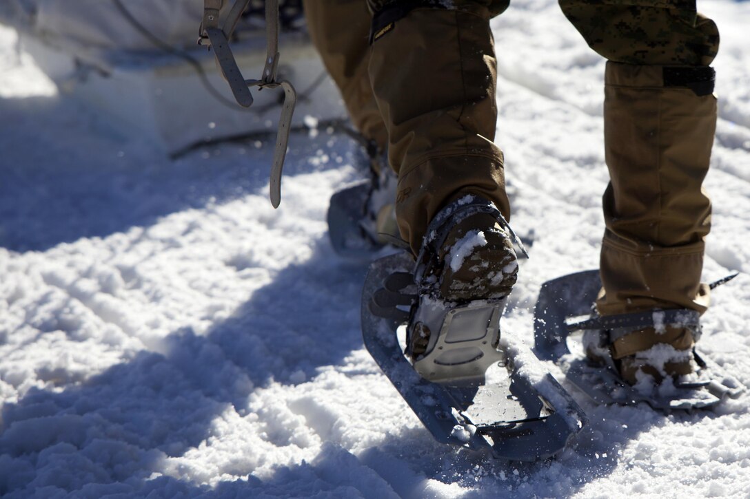 A Marine hikes in their snowshoes during cold weather training at Marine Corps Mountain Warfare Training Center, Calif., Jan. 21, 2016. The cold weather training done in the Sierra Mountains is a warm-up to Exercise Cold Response 1-16 in Norway. Nearly 80 Marines with 2nd LAAD Bn. participated in the two-weeklong exercise that taught basic mobility in snow, defensive and offensive tactics as well as basic cold weather and high altitude conditions training.