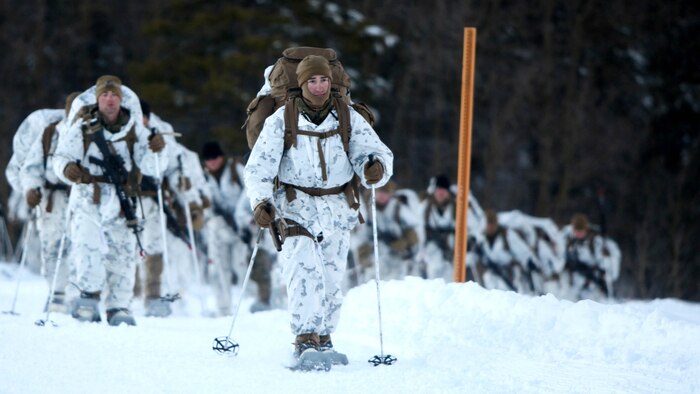 Staff Sgt. Stephen Heeg leads Marines up a mountain during cold weather training at Marine Corps Mountain Warfare Training Center, California, Jan. 21, 2016. The cold weather training done in the Sierra Mountains is a warm-up to Exercise Cold Response 1-16 in Norway. Nearly 80 Marines with 2nd LAAD Bn. participated in the two-weeklong exercise that taught basic mobility in snow, defensive and offensive tactics as well as basic cold weather and high altitude conditions training. Heeg is the 1st Platoon, platoon sergeant with 2nd Low Altitude Air Defense Battalion.