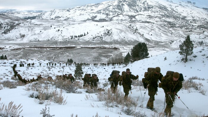 Marines hike up a steep incline on the Sierra Mountains during cold weather training at Marine Corps Mountain Warfare Training Center, California, Jan. 21, 2016. The cold weather training done in the Sierra Mountains is a warm-up to Exercise Cold Response 1-16 in Norway. Nearly 80 Marines with 2nd LAAD Bn. participated in the two-weeklong exercise that taught basic mobility in snow, defensive and offensive tactics as well as basic cold weather and high altitude conditions training.
