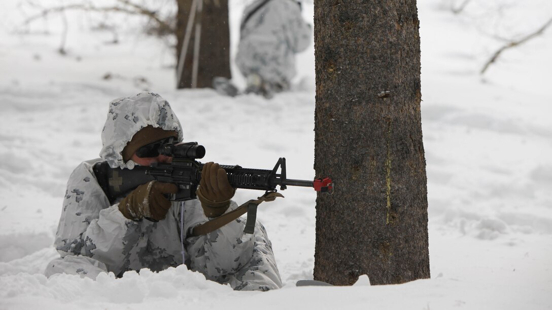 Lance Cpl. Jason M. Jones provides security during a simulated ambush during cold weather training at Marine Corps Mountain Warfare Training Center, California, Jan. 21, 2016. The cold weather training done in the Sierra Mountains is a warm-up to Exercise Cold Response 1-16 in Norway. Nearly 80 Marines with 2nd LAAD Bn. participated in the two-weeklong exercise that taught basic mobility in snow, defensive and offensive tactics as well as basic cold weather and high altitude conditions training. Jones is a low altitude air defense gunner with 2nd Low Altitude Air Defense Battalion.