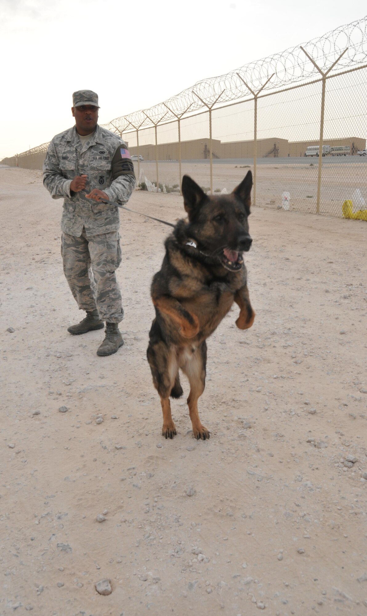 Staff Sgt. Jahmal Hardy, 379th Expeditionary Security Forces Squadron military working dog handler, and Nero, his partner, prepare to train Jan. 27 at Al Udeid Air Base Qatar. Hardy and Nero have been partners for seven months and are deployed from Offutt Air Force Base, Nebraska. (U.S. Air Force photo by Tech. Sgt. Terrica Y. Jones/Released)