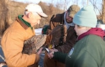 Carl Lindsley, left, Marc Sizer and Becca Linkiewicz, employees of the New York State Department of Environmental Conservation (DEC), work together to put an electronic monitoring tag on a female turkey at the New York National Guard's Camp Smith Training Site on Jan. 28, 2016. 