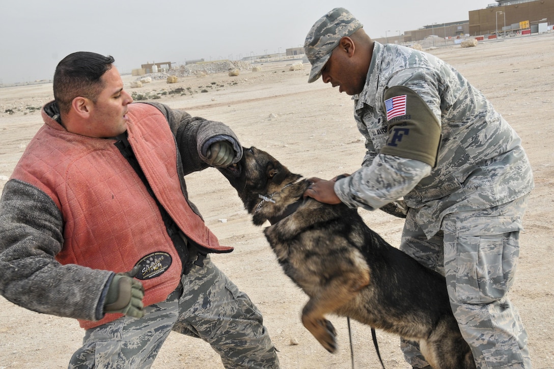 Air Force Tech. Sgt. Max Soto, left, and Staff Sgt. Jahmal Hardy practice patrol training with Nero, a military working dog, on Al Udeid Air Base, Qatar, Jan. 27, 2016. Soto and Hardy are working dog trainers assigned to the 379th Expeditionary Security Forces Squadron. The training is aimed in part at apprehending and locating suspicious individuals. Air Force photo by Tech. Sgt. Terrica Y. Jones