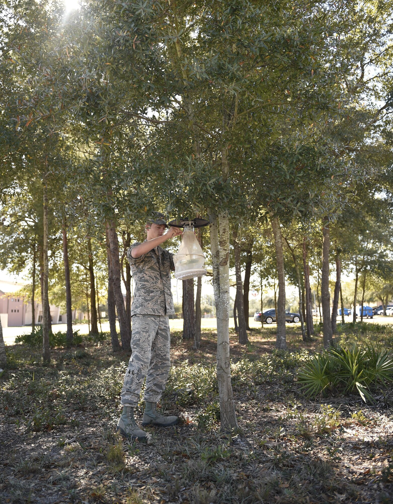 Airman 1st Class Kyle Engle, a public health technician with the 1st Special Operations Medical Group, hangs a mosquito trap in a tree at Hurlburt Field, Fla., Feb. 5, 2016. The mosquito traps will be hung around Hurlburt to catch specimens for later identification in a lab at Wright-Patterson Air Force Base, Ohio. (U.S. Air Force photo by Airman 1st Class Kai White)
