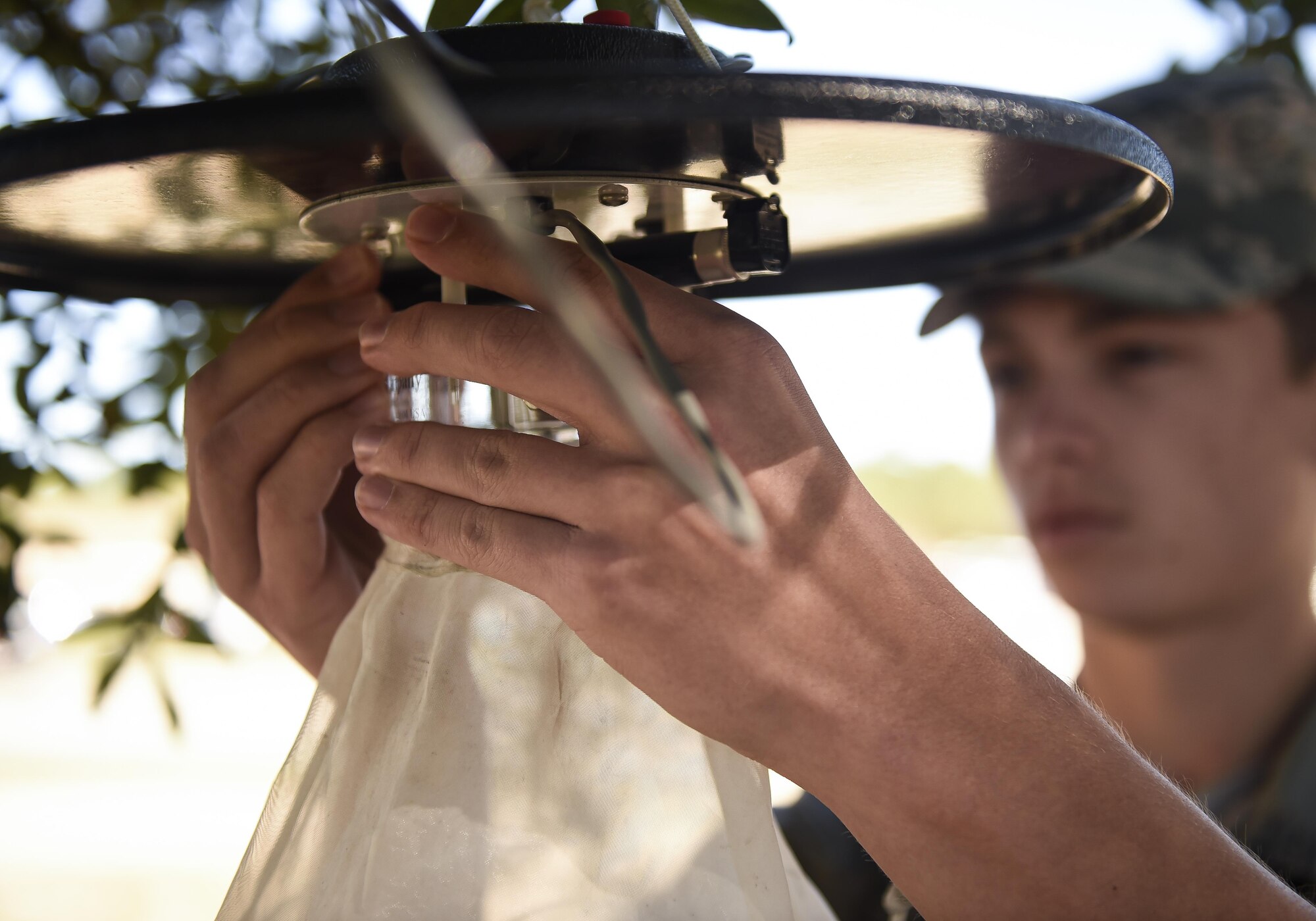 Airman 1st Class Kyle Engle, a public health technician with the 1st Special Operations Medical Group, hangs a mosquito trap in a tree at Hurlburt Field, Fla., Feb. 5, 2016. The mosquito traps will be hung around Hurlburt to catch specimens for later identification in a lab at Wright-Patterson Air Force Base, Ohio. (U.S. Air Force photo by Airman 1st Class Kai White)
