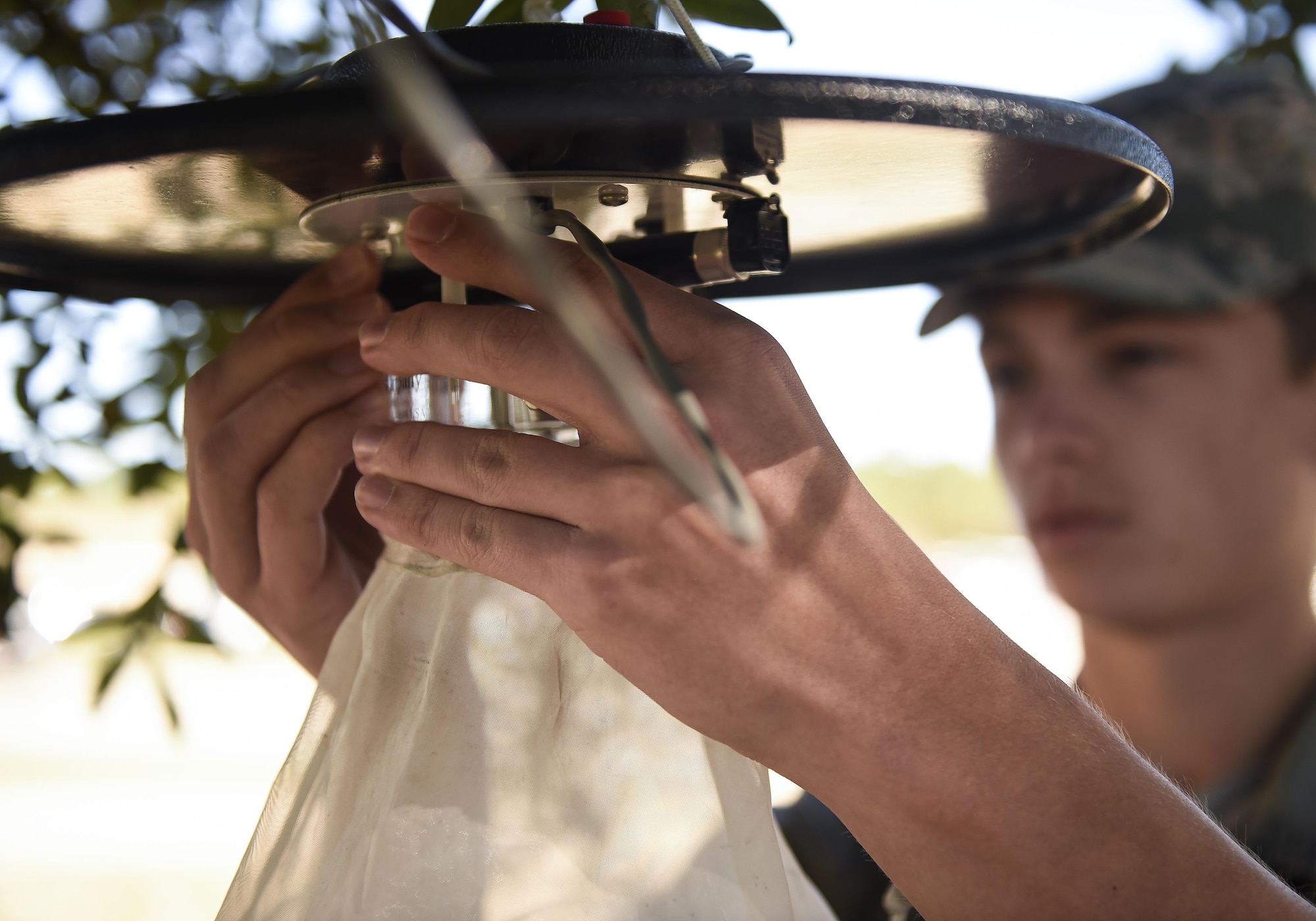 Airman 1st Class Kyle Engle, a public health technician with the 1st Special Operations Medical Group, hangs a mosquito trap in a tree at Hurlburt Field, Fla., Feb. 5, 2016. The mosquito traps will be hung around Hurlburt to catch specimens for later identification in a lab at Wright-Patterson Air Force Base, Ohio. (U.S. Air Force photo by Airman 1st Class Kai White)
