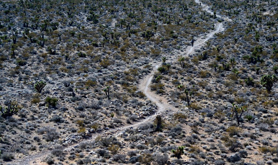 A recovering U.S. veteran rides his custom mountain bike as part of the Ride 2 Recovery program Feb. 2, 2016, at Blue Diamond, Nevada. The program is dedicated to helping wounded and recovering veterans recover from injuries sustained during their military service through biking. (U.S. Air Force photo by Senior Airman Christian Clausen/Released)