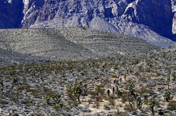 U.S. veterans ride their mountain bikes during a Ride 2 Recovery program Feb. 2, 2016, at Blue Diamond, Nev. R2R is a veteran program that saves lives by restoring hope and purpose by reaching out to veterans through cycling as a therapy for injuries, post-traumatic stress disorder, traumatic brain injuries and creates a family for them to be a part of again. (U.S. Air Force photo/Senior Airman Christian Clausen)