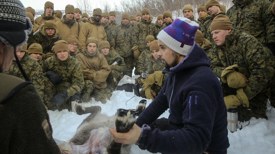 Per Eira, a local Sami tribesman, prepares to skin a reindeer during a field training exercise at Skoganvarre, Norway, Feb. 5, 2016. The Arctic training was conducted by the U.K. Royal Commandos and hosted by the Norwegian military to improve the U.S. Marine Corps’ capability to support their NATO Allies in extreme environments.